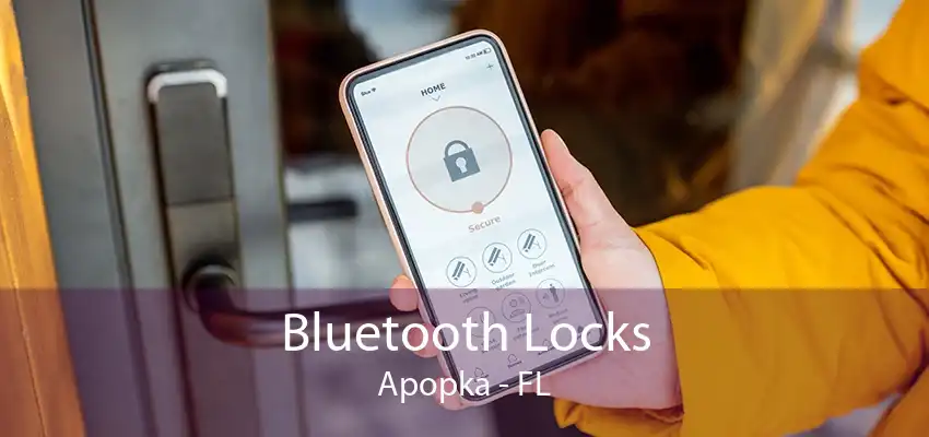 Bluetooth Locks Apopka - FL