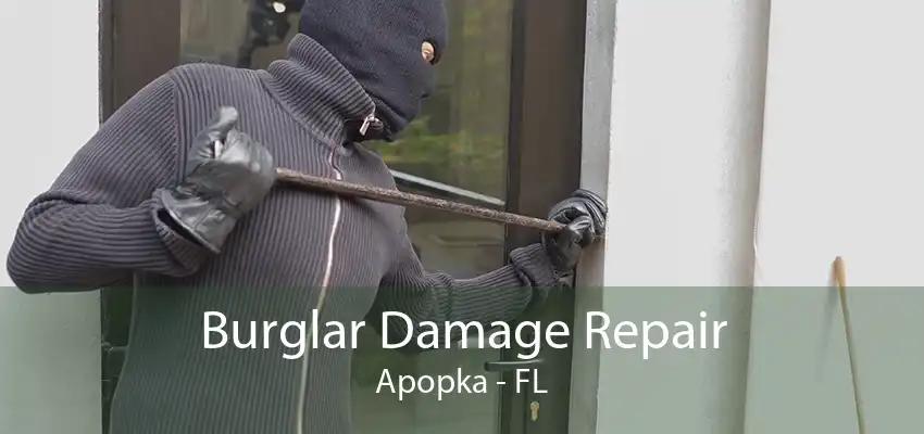 Burglar Damage Repair Apopka - FL