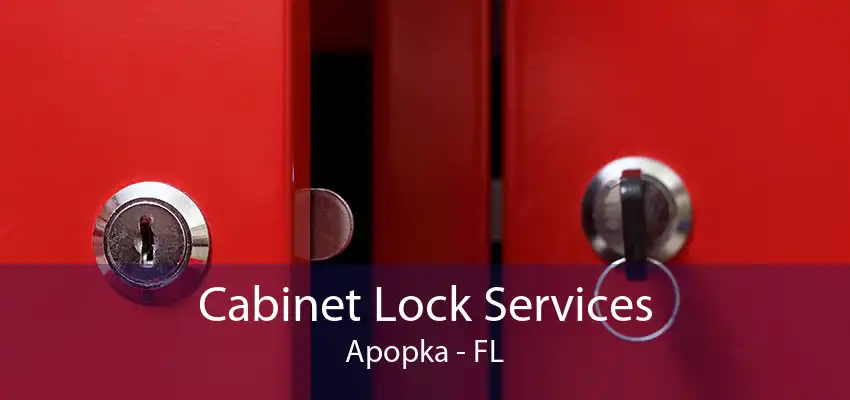 Cabinet Lock Services Apopka - FL