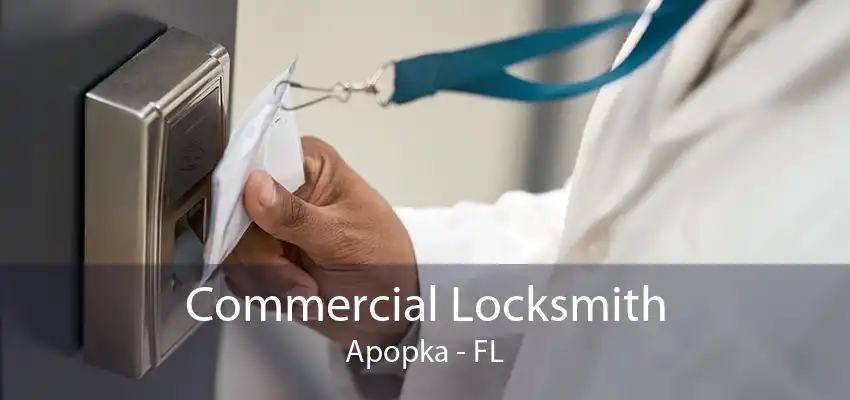 Commercial Locksmith Apopka - FL