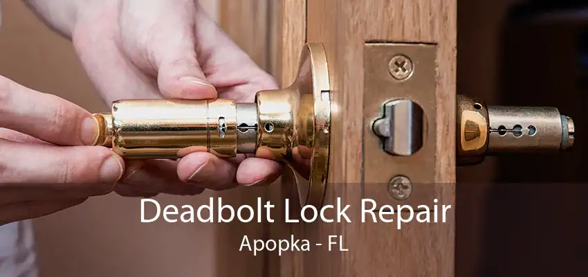 Deadbolt Lock Repair Apopka - FL