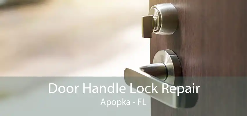 Door Handle Lock Repair Apopka - FL