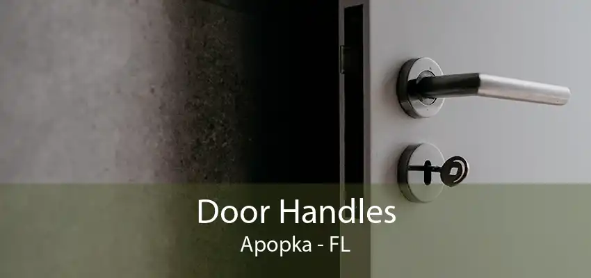 Door Handles Apopka - FL