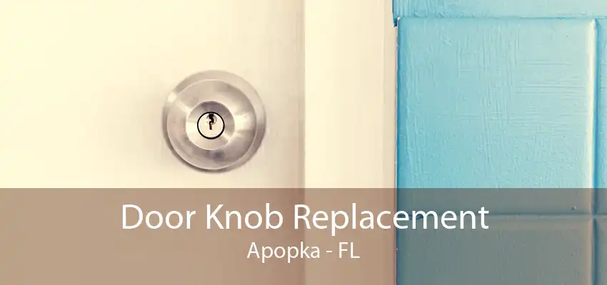 Door Knob Replacement Apopka - FL