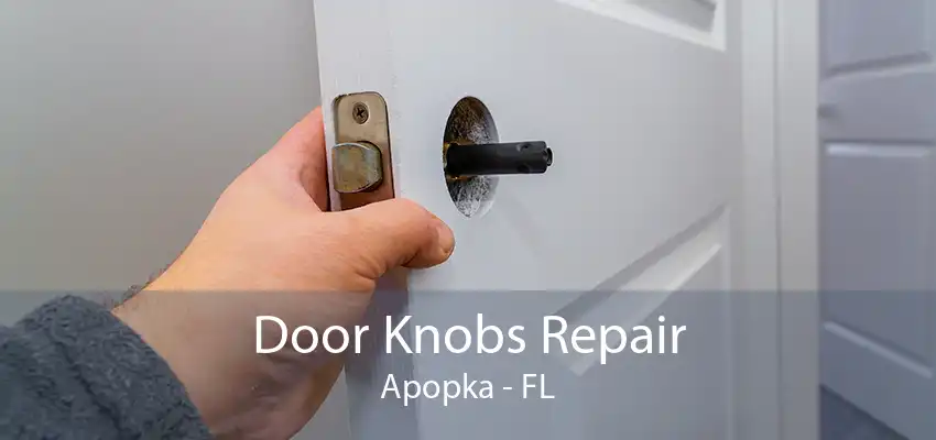 Door Knobs Repair Apopka - FL