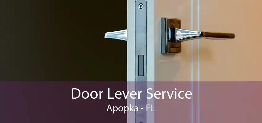 Door Lever Service Apopka - FL