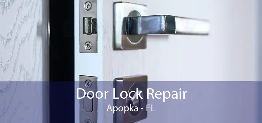 Door Lock Repair Apopka - FL