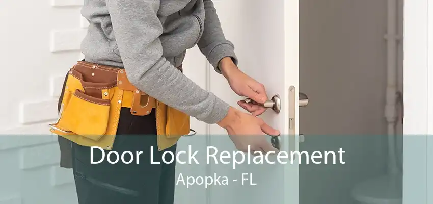 Door Lock Replacement Apopka - FL