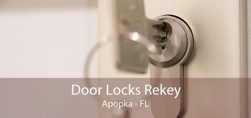 Door Locks Rekey Apopka - FL