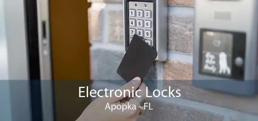 Electronic Locks Apopka - FL