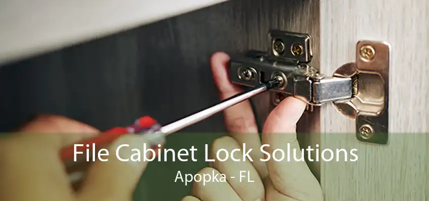 File Cabinet Lock Solutions Apopka - FL