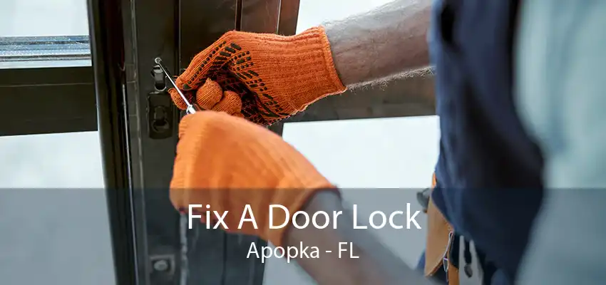 Fix A Door Lock Apopka - FL