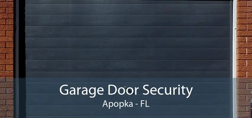 Garage Door Security Apopka - FL