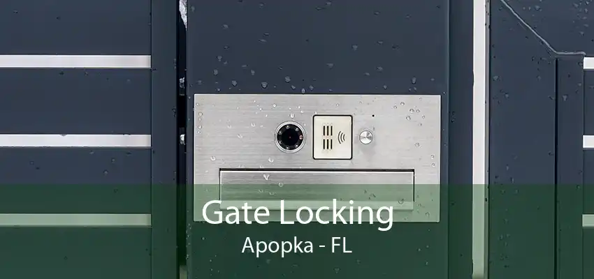 Gate Locking Apopka - FL