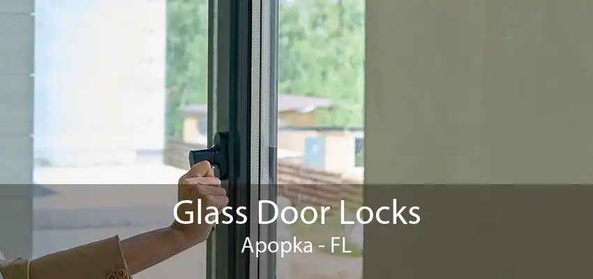 Glass Door Locks Apopka - FL