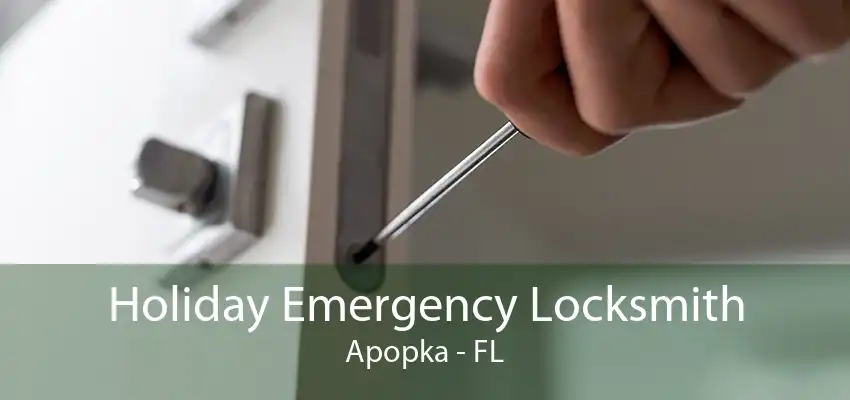 Holiday Emergency Locksmith Apopka - FL