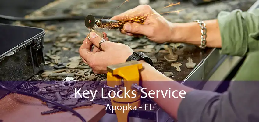 Key Locks Service Apopka - FL