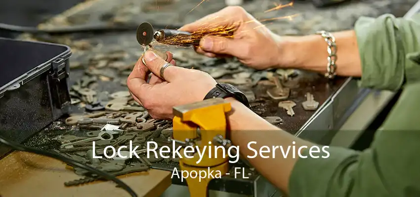 Lock Rekeying Services Apopka - FL