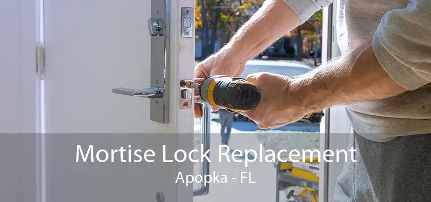 Mortise Lock Replacement Apopka - FL