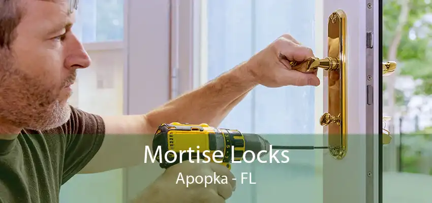 Mortise Locks Apopka - FL