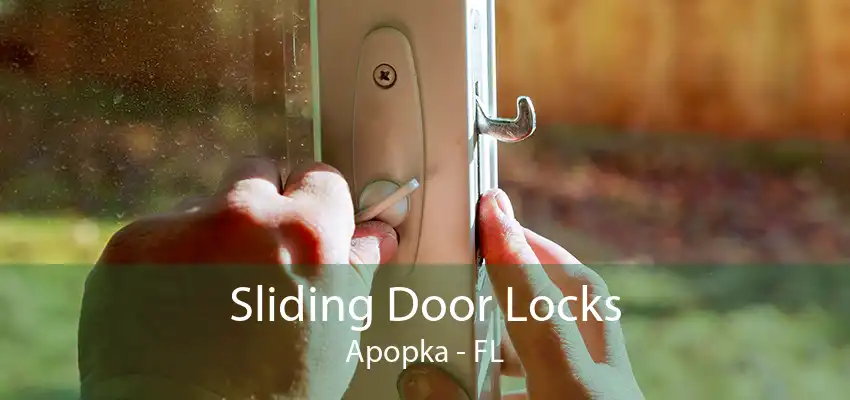 Sliding Door Locks Apopka - FL