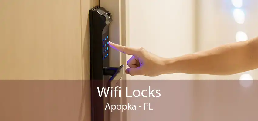 Wifi Locks Apopka - FL