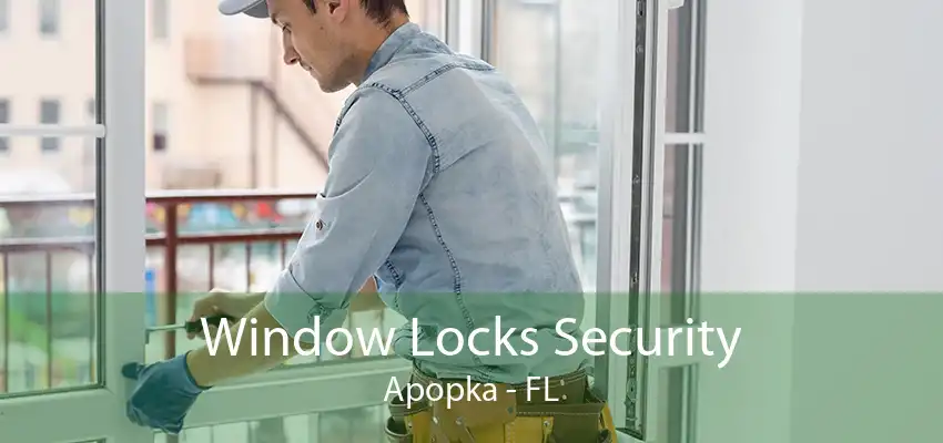 Window Locks Security Apopka - FL